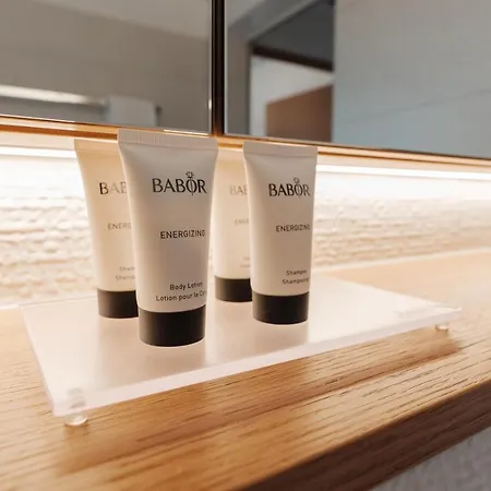 Boutique Panorama 3* Crans-Montana